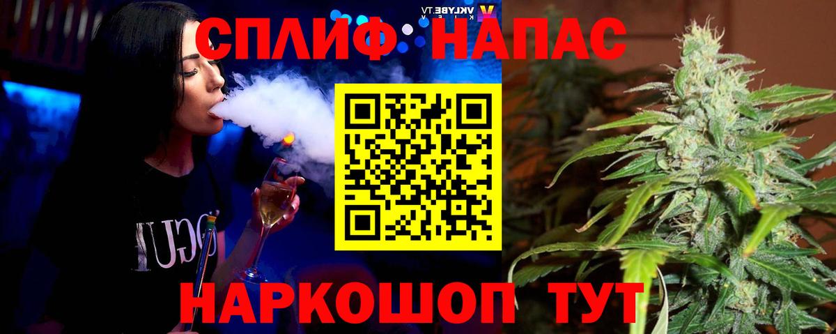 Канабис сатива Стерлитамак